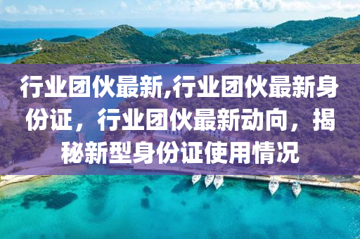 行業(yè)團伙最新,行業(yè)團伙最新身份證，行業(yè)團伙最新動向，揭秘新型身份證使用情況