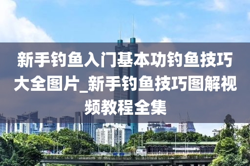 新手釣魚入門基本功釣魚技巧大全圖片_新手釣魚技巧圖解視頻教程全集