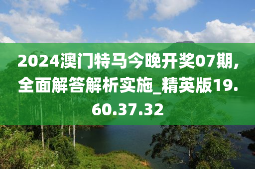 2024澳門特馬今晚開獎07期,全面解答解析實施_精英版19.60.37.32