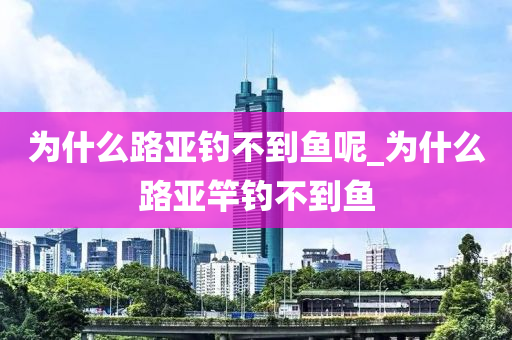 為什么路亞釣不到魚呢_為什么路亞竿釣不到魚-第1張圖片-姜太公愛釣魚