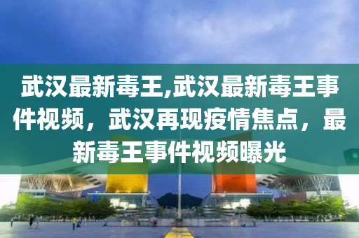 武漢最新毒王,武漢最新毒王事件視頻，武漢再現(xiàn)疫情焦點(diǎn)，最新毒王事件視頻曝光