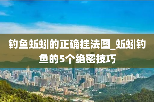 釣魚蚯蚓的正確掛法圖_蚯蚓釣魚的5個(gè)絕密技巧-第1張圖片-姜太公愛釣魚