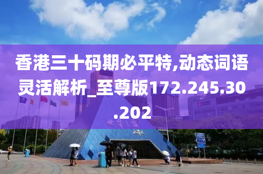 香港三十碼期必平特,動態(tài)詞語靈活解析_至尊版172.245.30.202