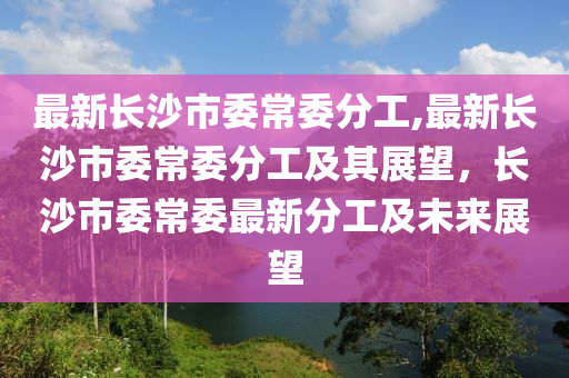 最新長沙市委常委分工,最新長沙市委常委分工及其展望，長沙市委常委最新分工及未來展望