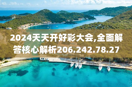 2024天天開好彩大會,全面解答核心解析206.242.78.27