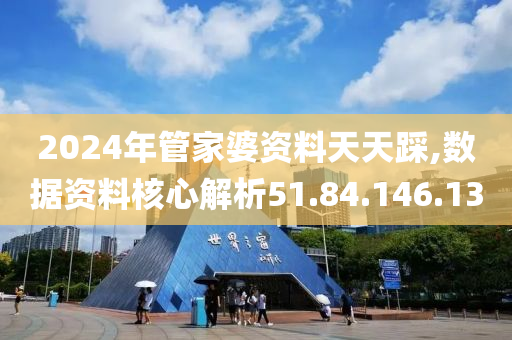 2024年管家婆資料天天踩,數(shù)據(jù)資料核心解析51.84.146.130